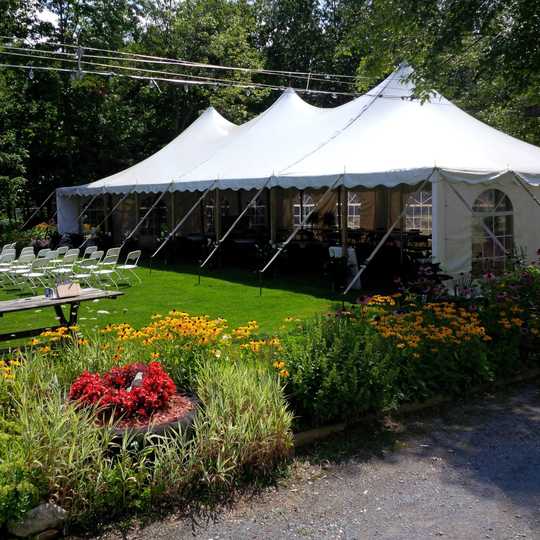 Rebel Tents - Tent rentals for backyard parties